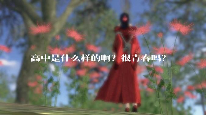 高中是什么样的啊？很青春吗？